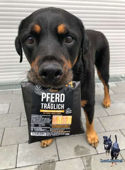 Lord.Bobbel´s Tales&Tails