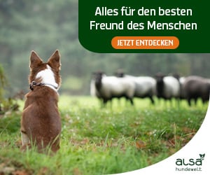 Alsa - Hundewelt