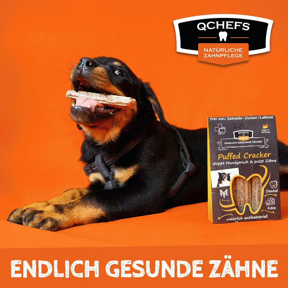 QChefs - natürliche Zahngesundheit