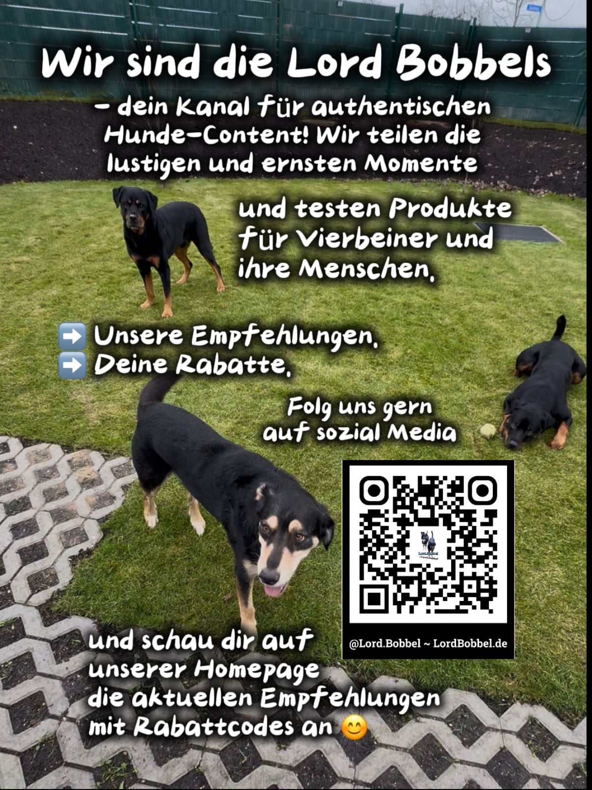 Lord.Bobbel im Tales&Tails